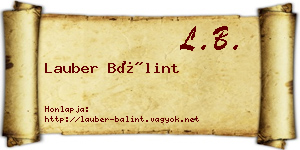 Lauber Bálint névjegykártya